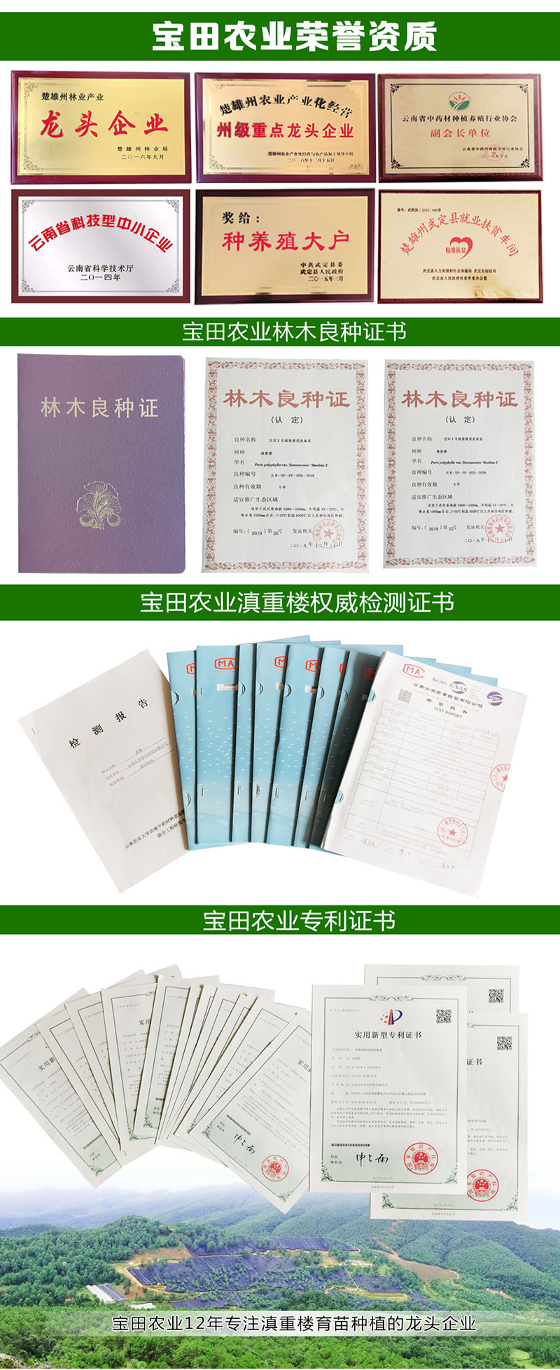 狗万滇重樓榮譽(yù)資質(zhì)